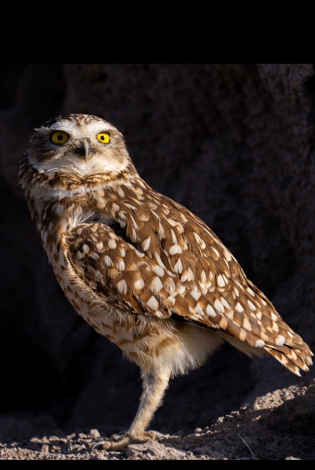 1a80ac52-8e33-42bf-a1bc-bc7af292c581