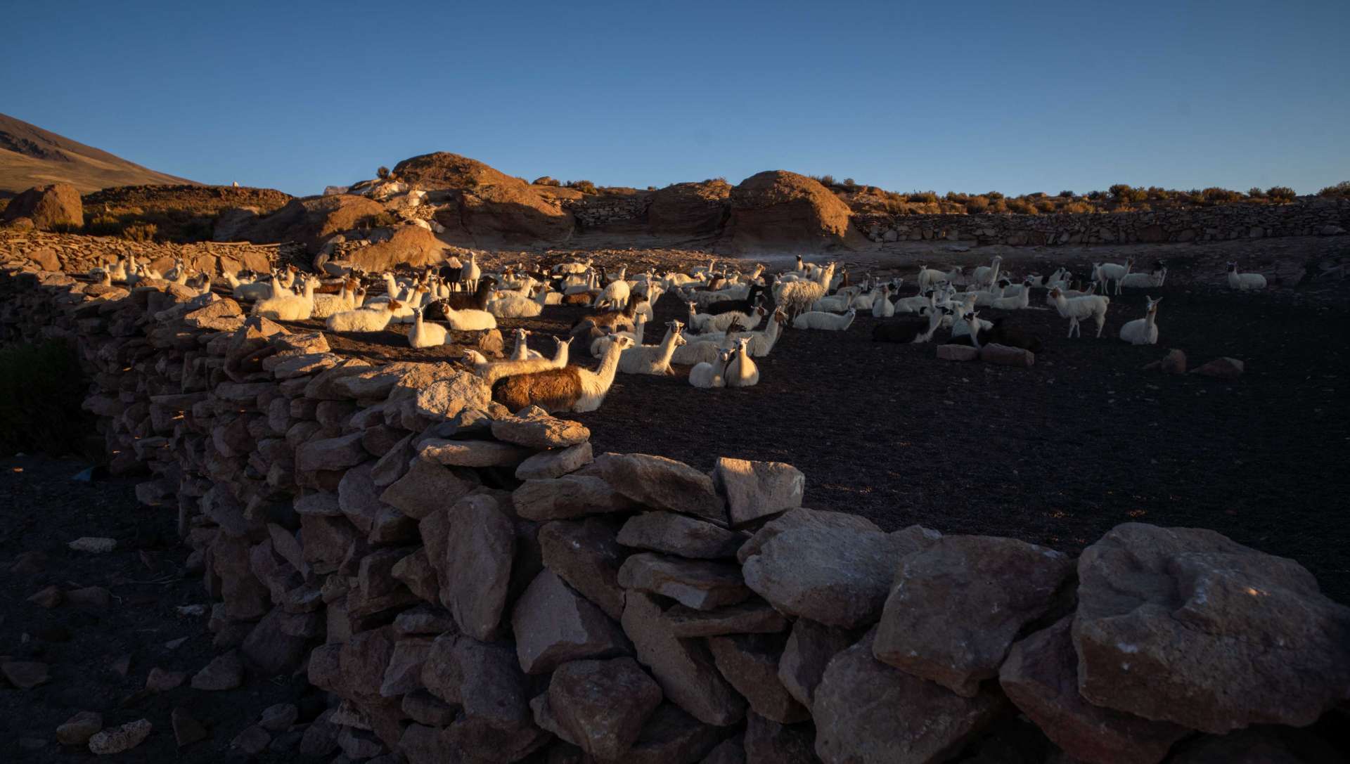 h0OskaDbNbkqJhi1F3Zr